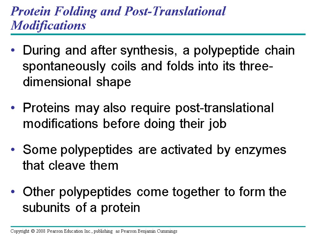 Protein Folding and Post-Translational Modifications During and after synthesis, a polypeptide chain spontaneously coils